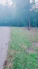 Profile Picture of   shelly (@shelly3486) TikTok... (@shelly3486) on Tiktok