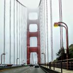 Profile Picture of timmmy cook (@timmy____cook) on Instagram