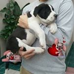 Derrick Huang - Instagram Profile Picture of Derrick Huang (@derr.huang) on Instagram