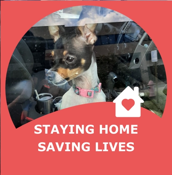 Profile Picture of Beverly Stewart (@beverlystewa508) on Poshmark