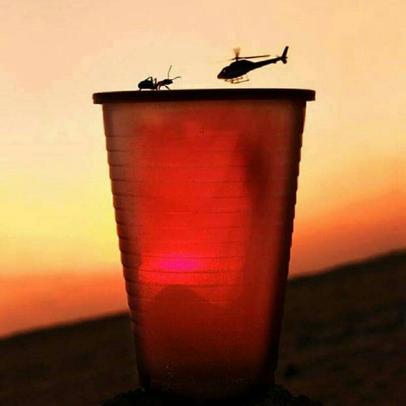 Profile Picture of Dewayne Morris (@waynetrain) on Poshmark