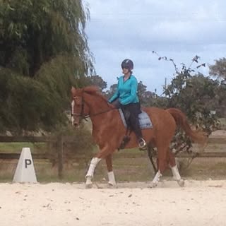 Profile Picture of Sharon Schaafsma (@sharon_schaafsma) on Instagram