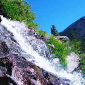 Profile Picture of Jason Trisler (@RevvedUpTrisler) on Youtube