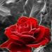 Profile Picture of James Shamburger (@james.shamburger.12) on Facebook