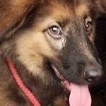 Profile Picture of jaydevvarma (@jaydevvarma7086) on Instagram