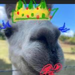 Profile Picture of LaShomb Christley Elizabeth (@elizabethlashombchristley) on Instagram