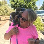 bobbie adams - Instagram Profile Picture of bobbie adams (@bobbiea7) on Instagram