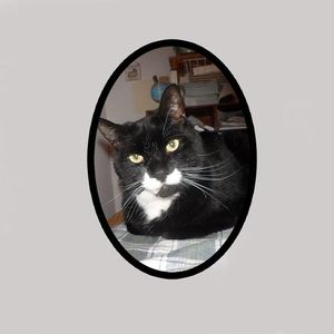 Profile Picture of Bailey Hansen (@bailey.hansen) on Myspace