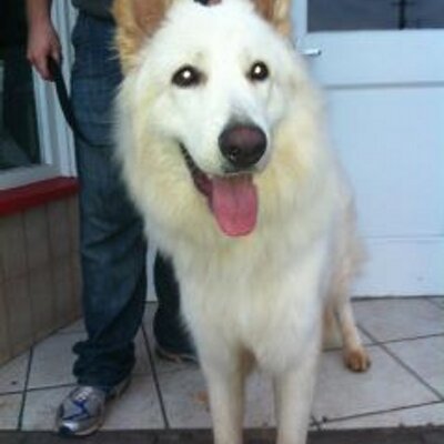 Profile Picture of Clare Lewandowski (@clarelewandowsk) on Twitter