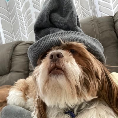 Profile Picture of ashlie (@Asslieee) on Twitter