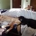 Profile Picture of Michael Edmondson (@michael.edmondson.33633) on Facebook