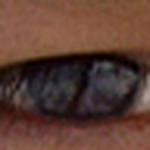 ahmad mujib - Flickr Profile Picture of ahmad mujib (@ajib14) on Flickr