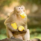 Profile Picture of Fion Wong (@fionwong523) on Youtube