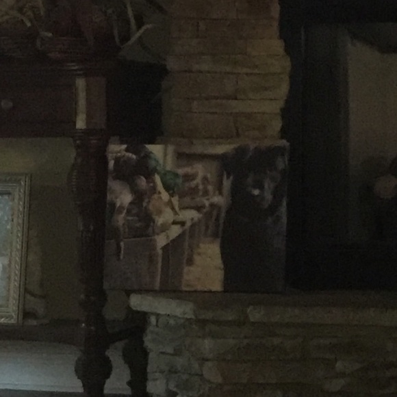 Profile Picture of Amy Hannis (@ahannis) on Poshmark