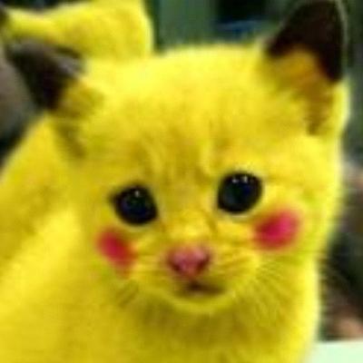 Jacqueline Weiner - Twitter Profile Picture of Jacqueline Weiner (@detailedgoph13) on Twitter