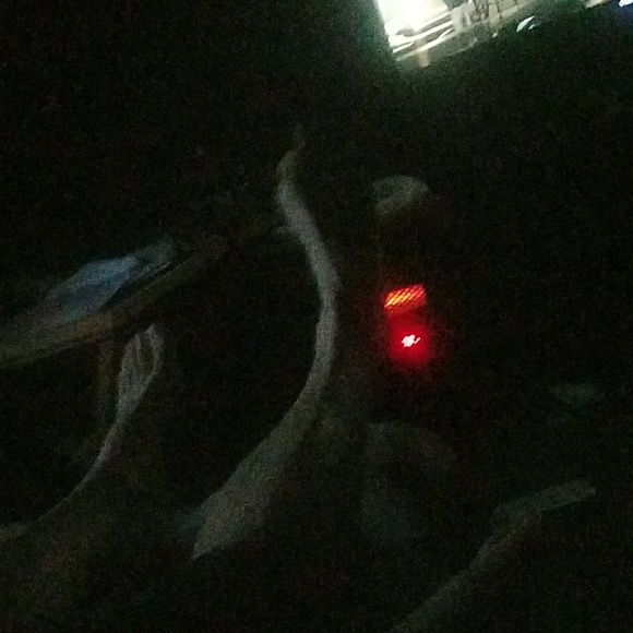 Profile Picture of Lexie Jelley (@lexieee199) on Poshmark