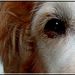 Profile Picture of Nicole Soderholm (@Nsoder) on Pinterest