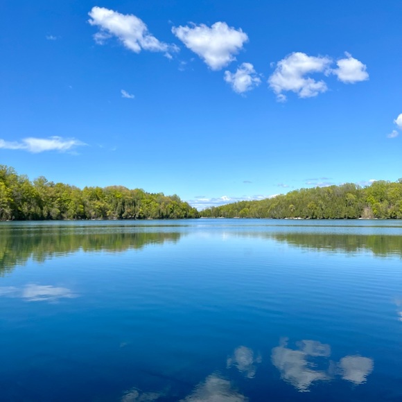 Cary Whitermore - Poshmark Profile Picture of Cary Whitermore (@carywhitermore) on Poshmark