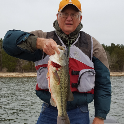 Profile Picture of Steve Cardin (@SteveCardin5) on Twitter