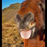 Profile Picture of Calebwhittington (@calebwhittington8) on Instagram