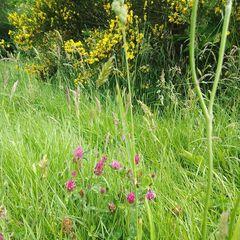 Profile Picture of Raymonde Brousse (@raymonde.brousse) on Tiktok