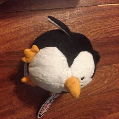 Profile Picture of Aaron Weller (@50dollarburrito) on Twitter