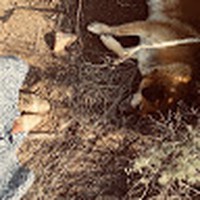 Profile Picture of Charde Larae (@charde-larae) on Quora