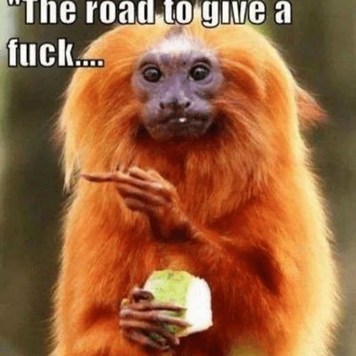 Profile Picture of John Pierro (@swepierro71) on Twitter