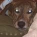 Profile Picture of Sam Vaught (@sam.vaught.5099) on Facebook