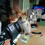 Profile Picture of michal marczewski (@nwmxd12) on Instagram