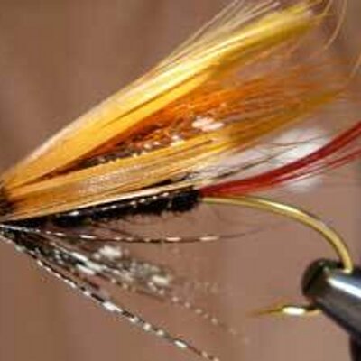 Profile Picture of Henry Harrison (@TheWeeklyFly) on Twitter