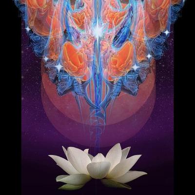 Profile Picture of Brian Pino (@omsatcitananda) on Twitter