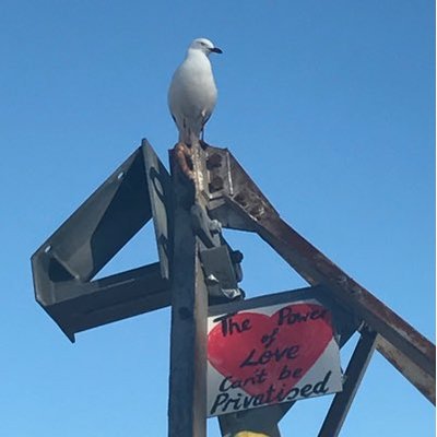 Profile Picture of Shantha Bloemen (@ShanthaBloemen) on Twitter