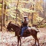 Profile Picture of Jimmy Stewart (@jimmy8544) on Instagram
