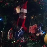 Profile Picture of Fillomina Benjamin (@fillomina) on Instagram