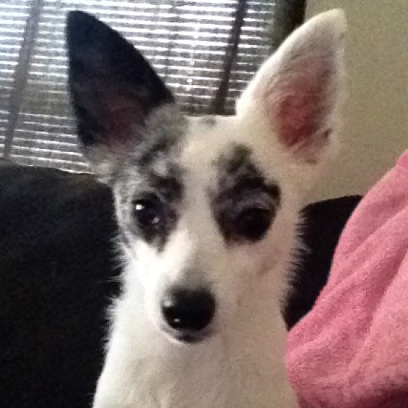 Profile Picture of Hailey Ray (@haileyray08) on Poshmark