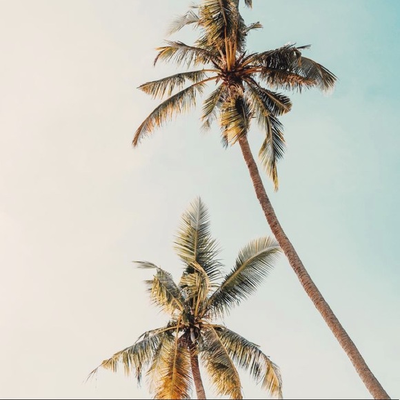 Profile Picture of Macy Drinnon (@macymack21) on Poshmark