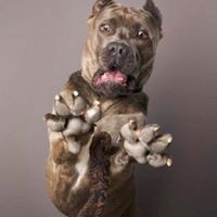 Profile Picture of Brian Cleaves (@brian-cleaves-1) on Quora