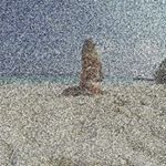 Profile Picture of Pamelas Ralmuddlibro (@pamelas_ralmuddlibrolor) on Instagram