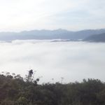 Profile Picture of Federico Hernandez Tolentino (@federicohernandeztolentino) on Instagram