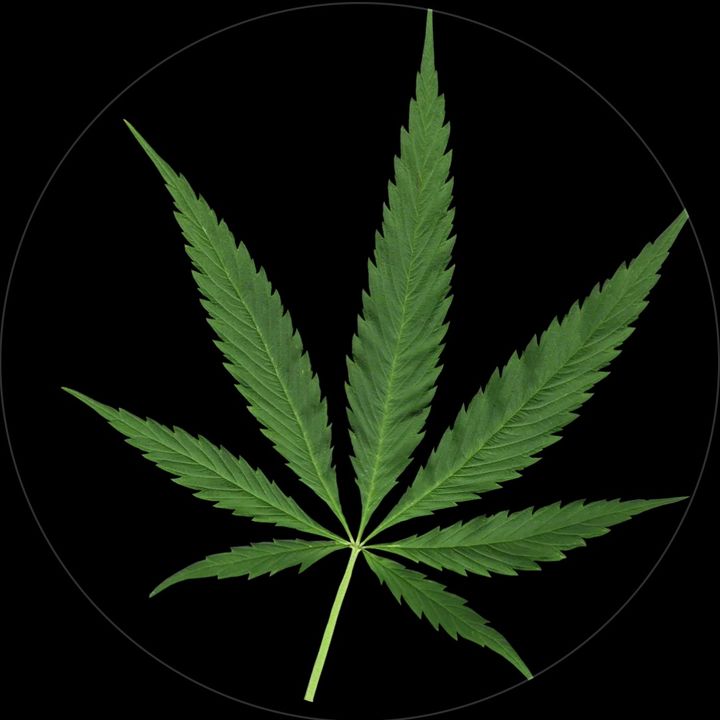 Profile Picture of Isaac Duenas199 (@isaacduenas199) on Tiktok