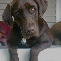 Profile Picture of Rusty Crowe (@rusty.crowe.50) on Facebook