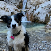 Profile Picture of Erik Richardson (@erikrichardson6632) on Youtube