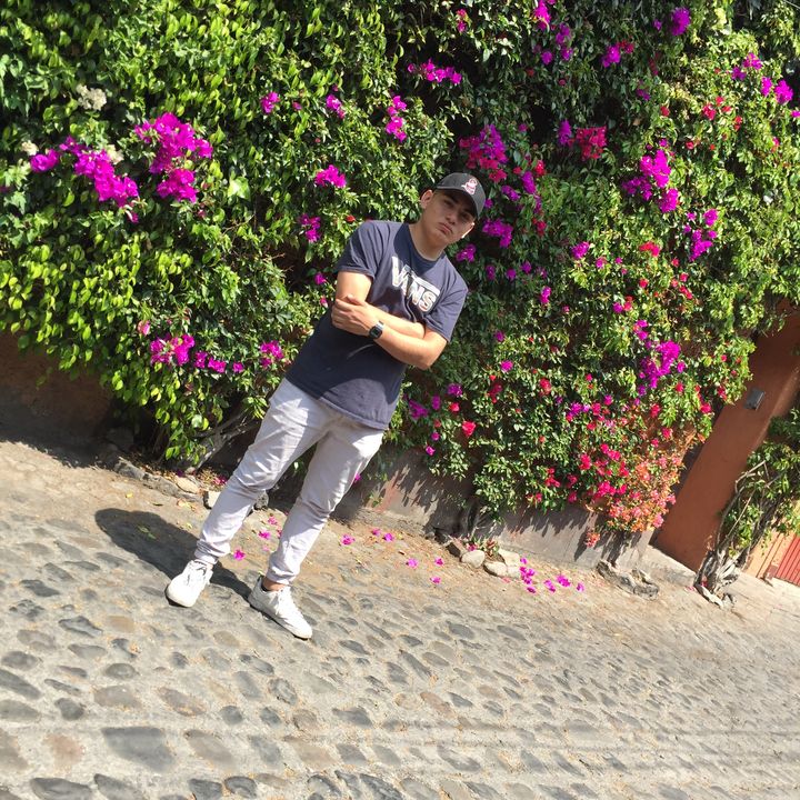 Profile Picture of Alex Brow (@alexbrow2) on Tiktok