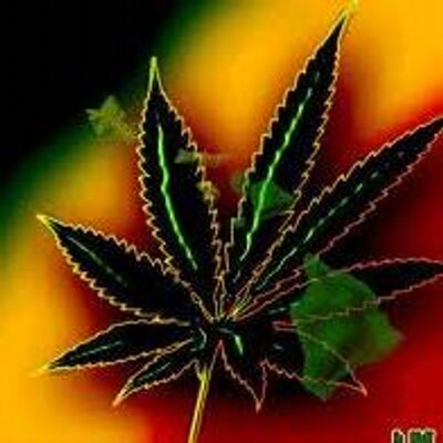 Profile Picture of Harvey Sutton (@harveysutton5) on Twitter