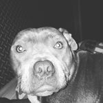 Profile Picture of daniel (@_daniel_wilcock_) on Instagram