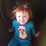 Profile Picture of Joe Shockley (@jshock08) on Instagram