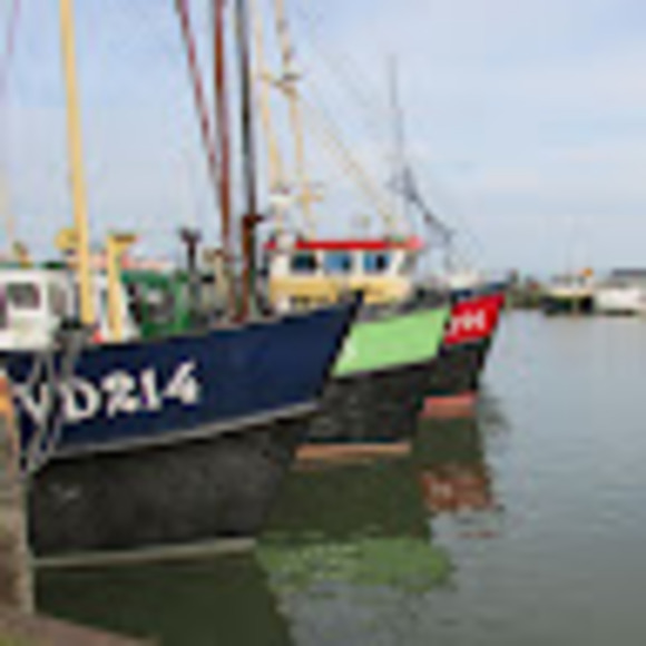 Profile Picture of Mitchell Hamberg (@mitchhamberg) on Poshmark