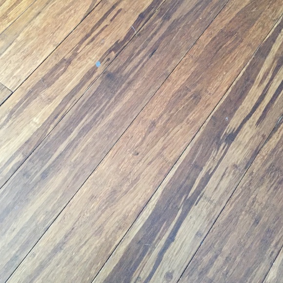 Profile Picture of Danielle Dipalma (@ddipalma) on Poshmark