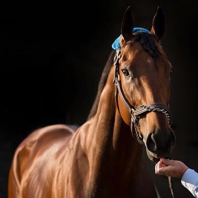 Profile Picture of Makayla Richards (@makaylavevay) on Twitter